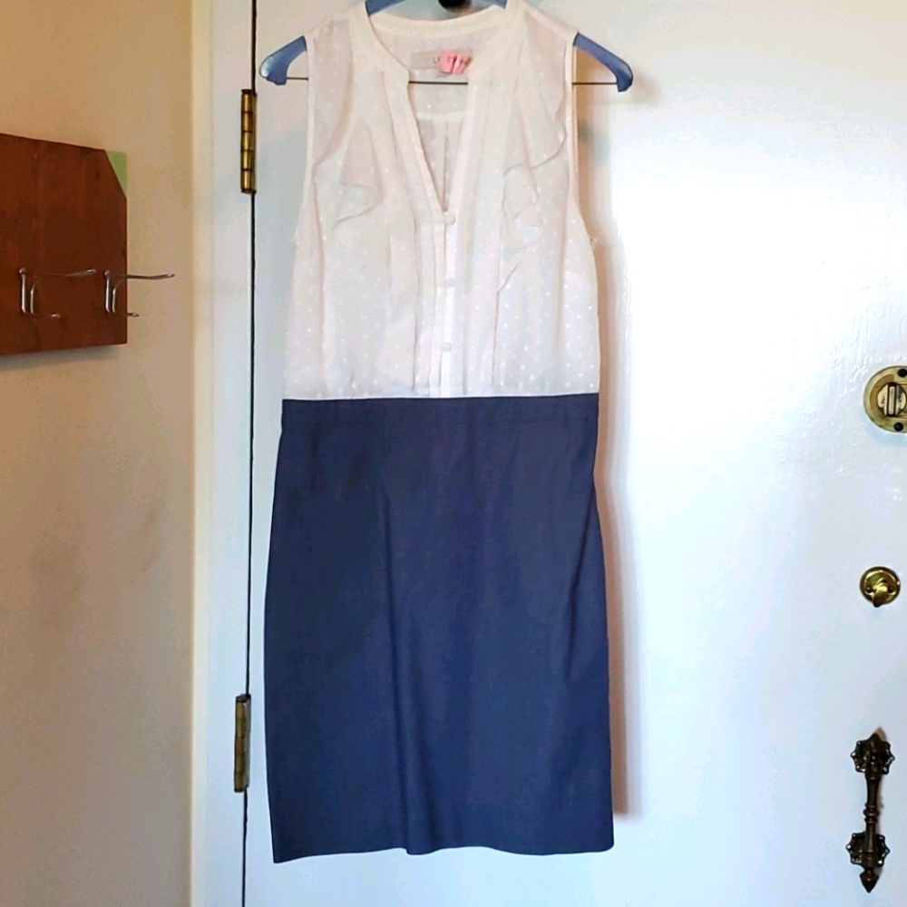 Loft dress
